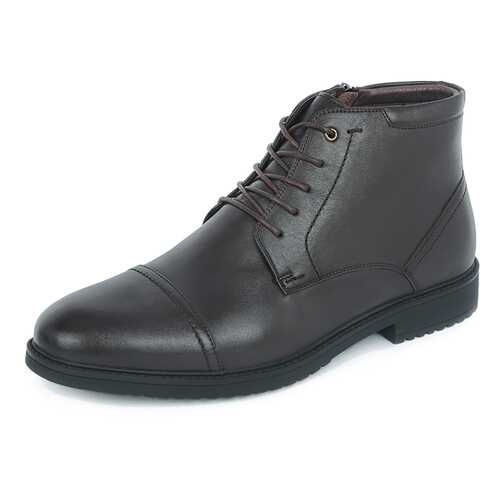 Ботинки мужские Pierre Cardin 710018537 коричневые 43 RU в Снежная Королева