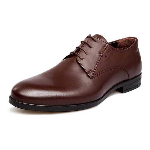 Туфли мужские Pierre Cardin 710018071 коричневые 43 RU в Снежная Королева