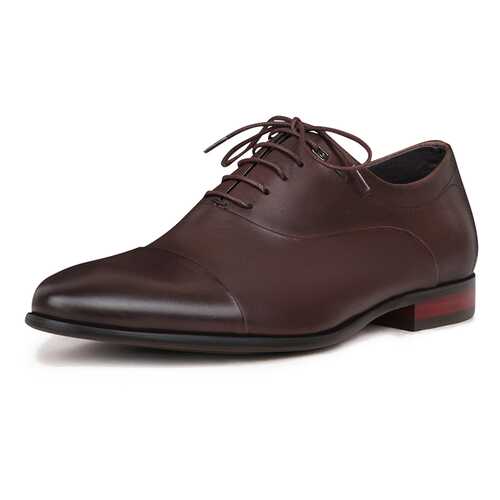 Туфли мужские Pierre Cardin DC20S-1 коричневые 45 RU в Снежная Королева