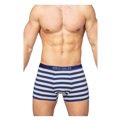 Трусы мужские SERGIO DALLINI SG2959 синие XL в Снежная Королева